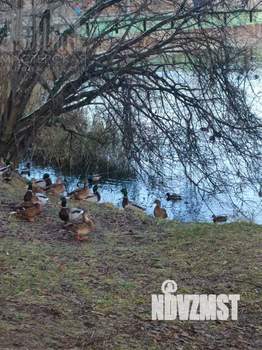 2-к квартира, вторичка, 42м2, 1/5 этаж