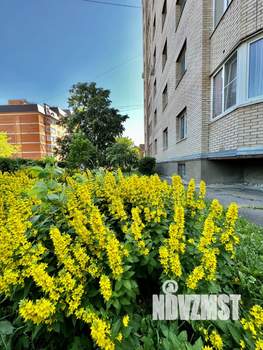 3-к квартира, вторичка, 82м2, 3/9 этаж