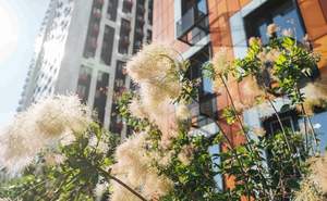 Студия квартира, вторичка, 18м2, 10/30 этаж