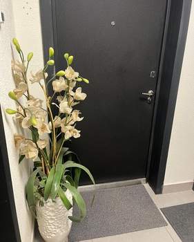 Студия квартира, вторичка, 24м2, 26/33 этаж