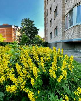 3-к квартира, вторичка, 85м2, 3/9 этаж