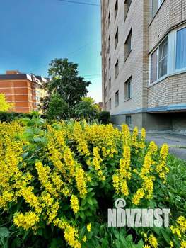 3-к квартира, вторичка, 85м2, 3/9 этаж