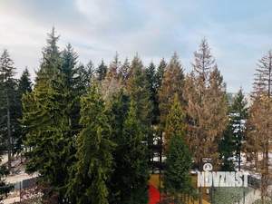 1-к квартира, вторичка, 39м2, 6/6 этаж