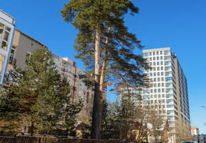 1-к квартира, вторичка, 32м2, 5/17 этаж