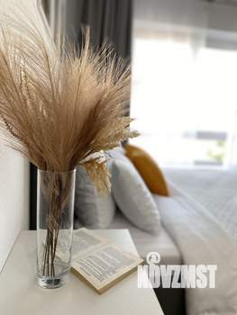 Студия квартира, вторичка, 20м2, 7/9 этаж