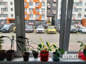 Студия квартира, вторичка, 31м2, 1/5 этаж