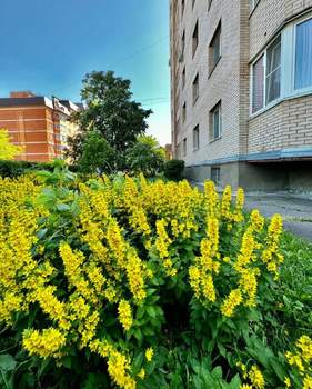 3-к квартира, вторичка, 85м2, 3/9 этаж