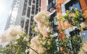 1-к квартира, вторичка, 43м2, 24/28 этаж