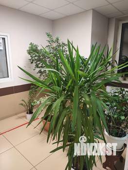 1-к квартира, вторичка, 41м2, 20/25 этаж