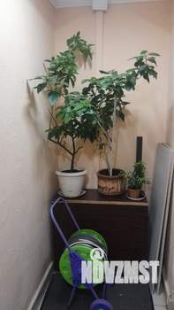 3-к квартира, вторичка, 72м2, 22/22 этаж