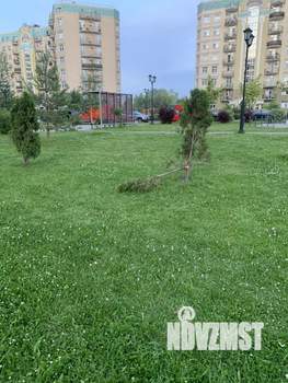 Студия квартира, вторичка, 55м2, 10/10 этаж