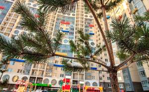 3-к квартира, вторичка, 87м2, 6/29 этаж